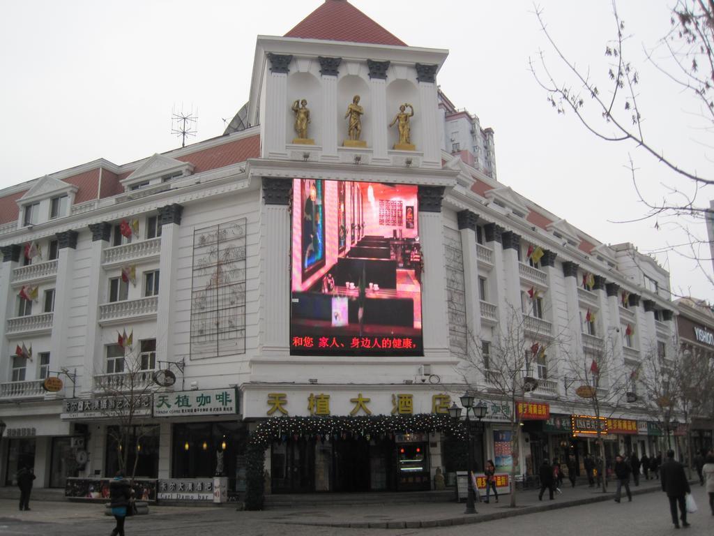 Tianzhi Hotel Harbin Extérieur photo